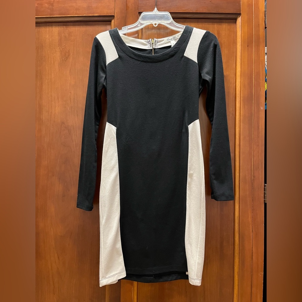 Chic Black and Cream Long Sleeve Dress